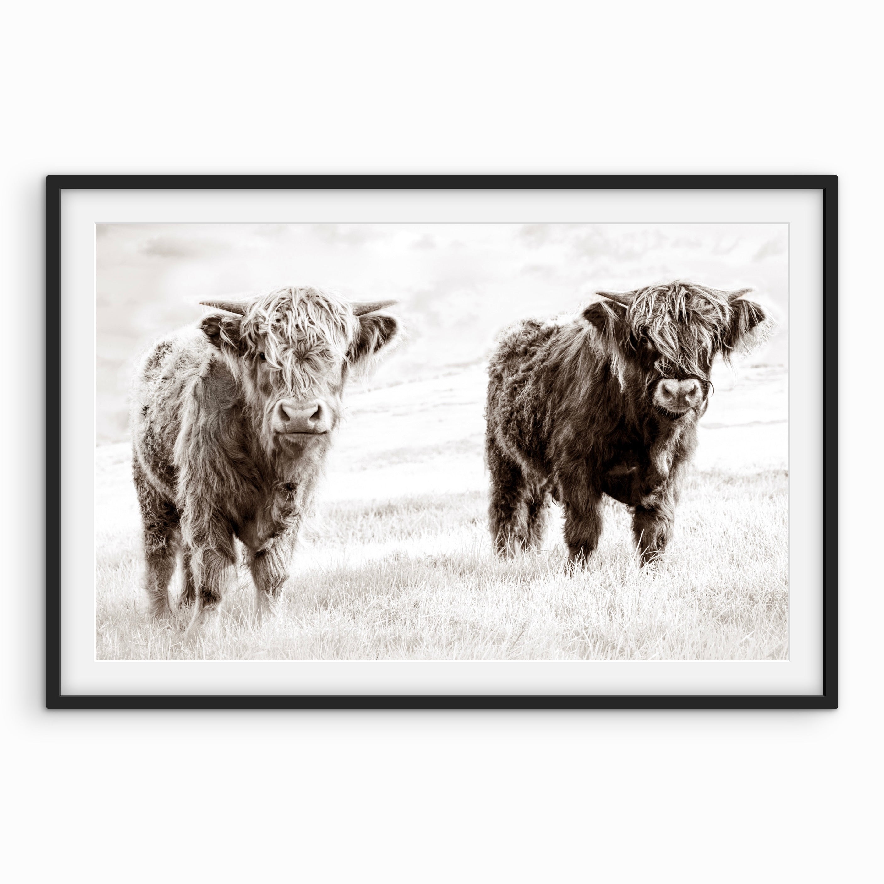 2 Highlanders