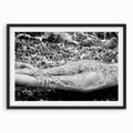 Body in Lagoon