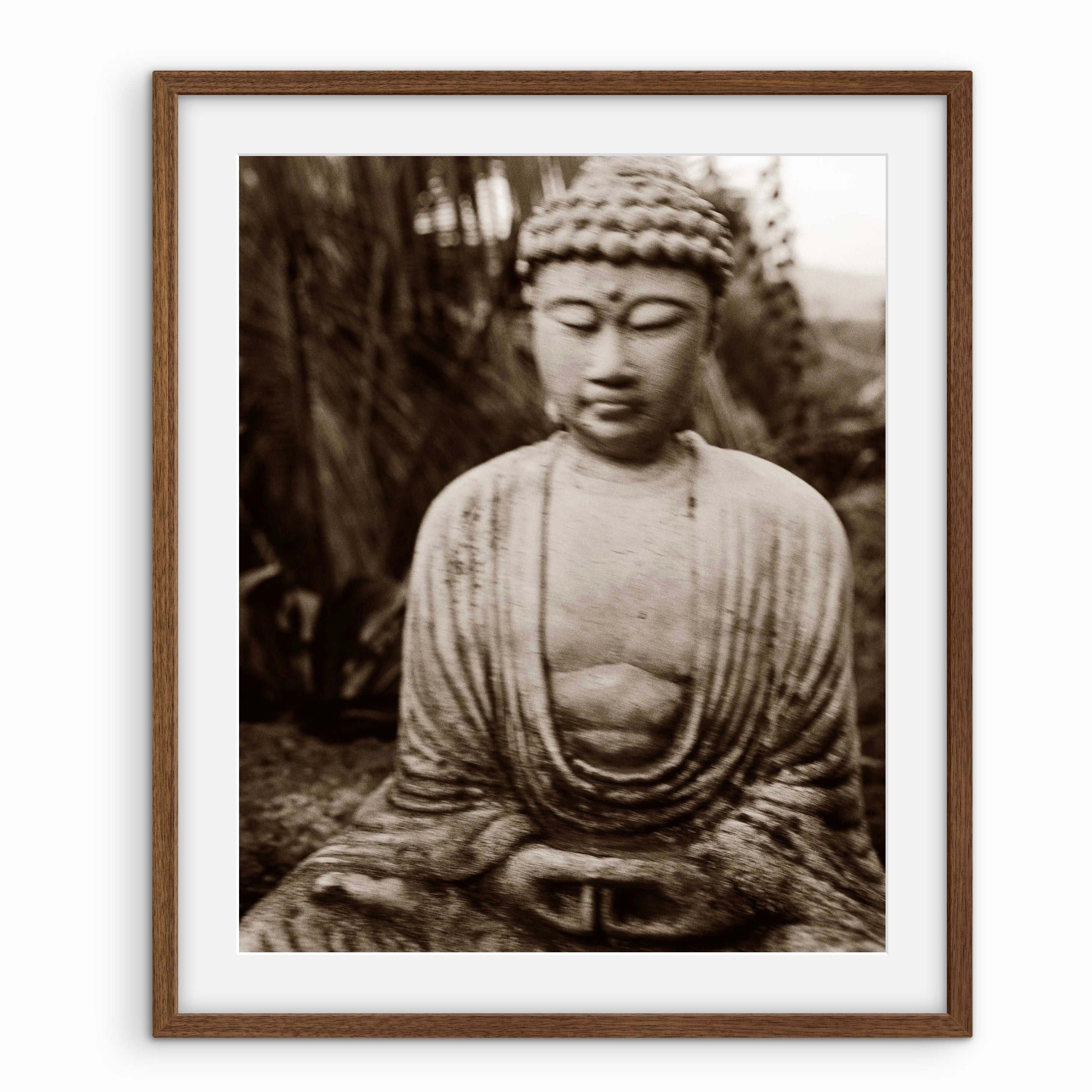 Buddha, Kauai