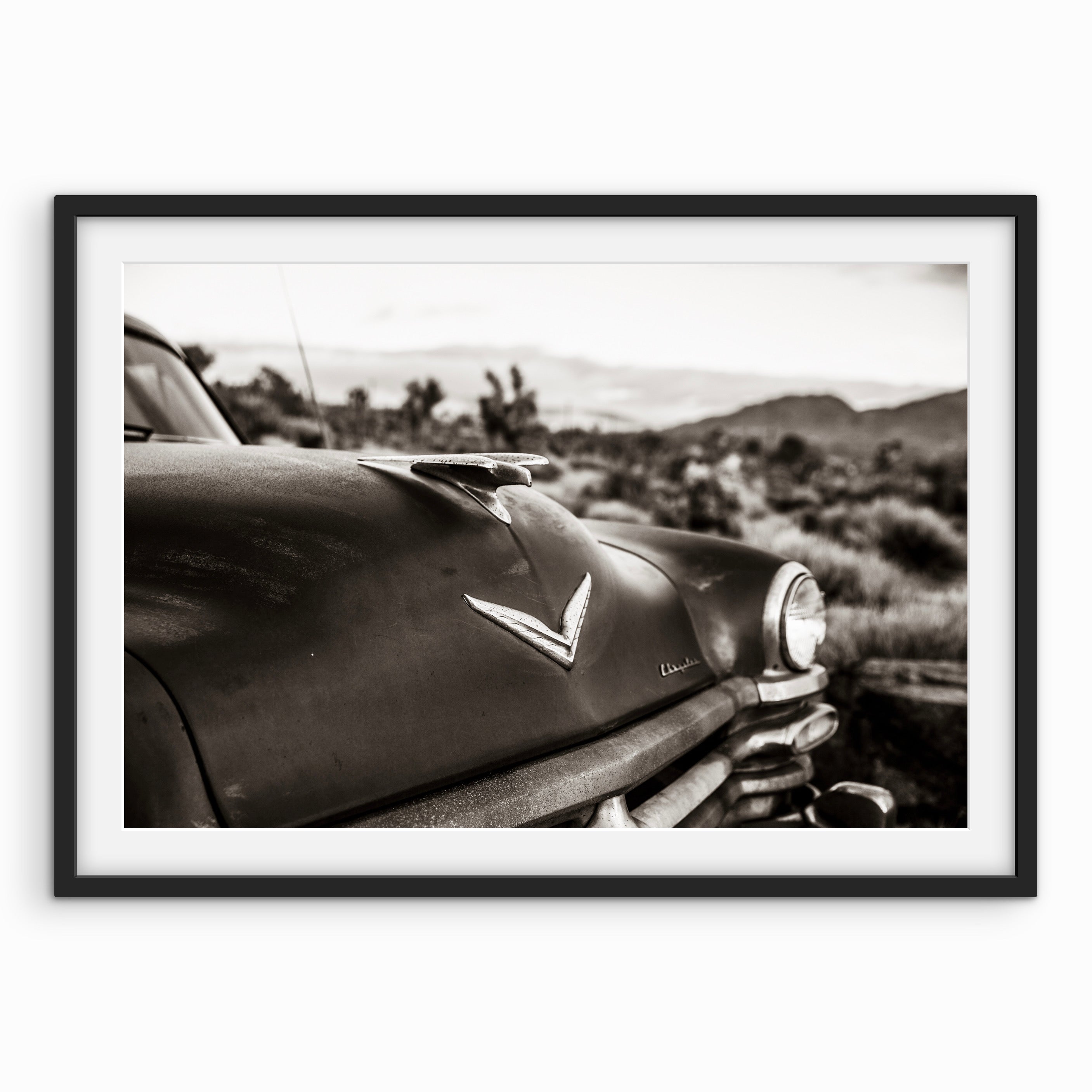 Car in Joshua Tree