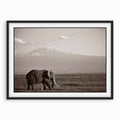 Elephant & Egret