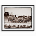 Elephants Charging