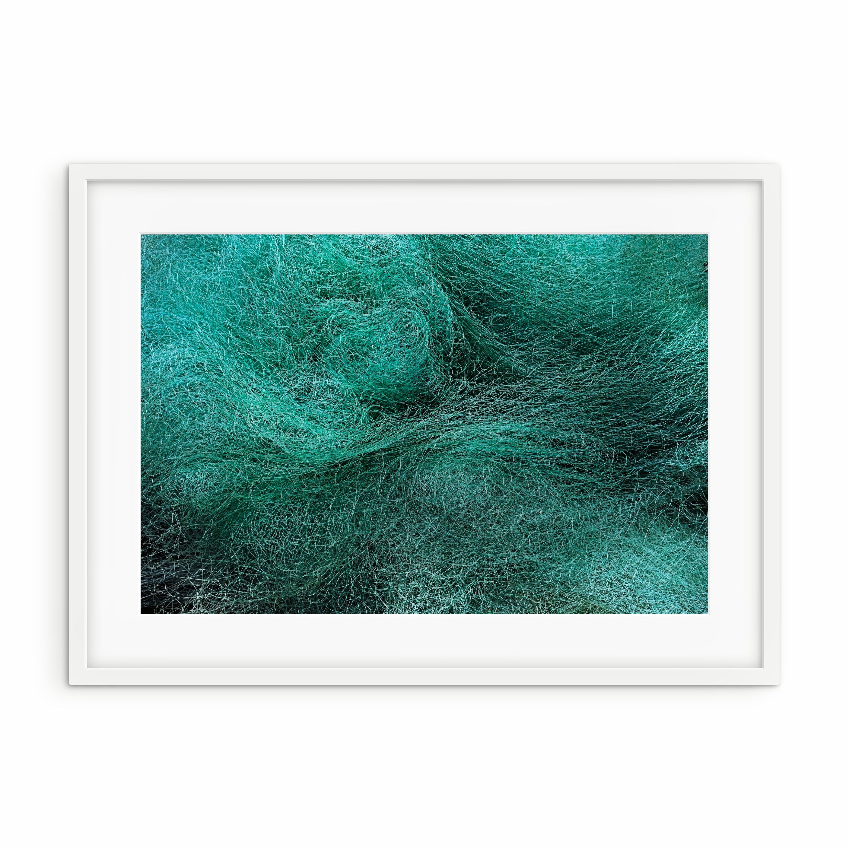Fishing Net, Troncones