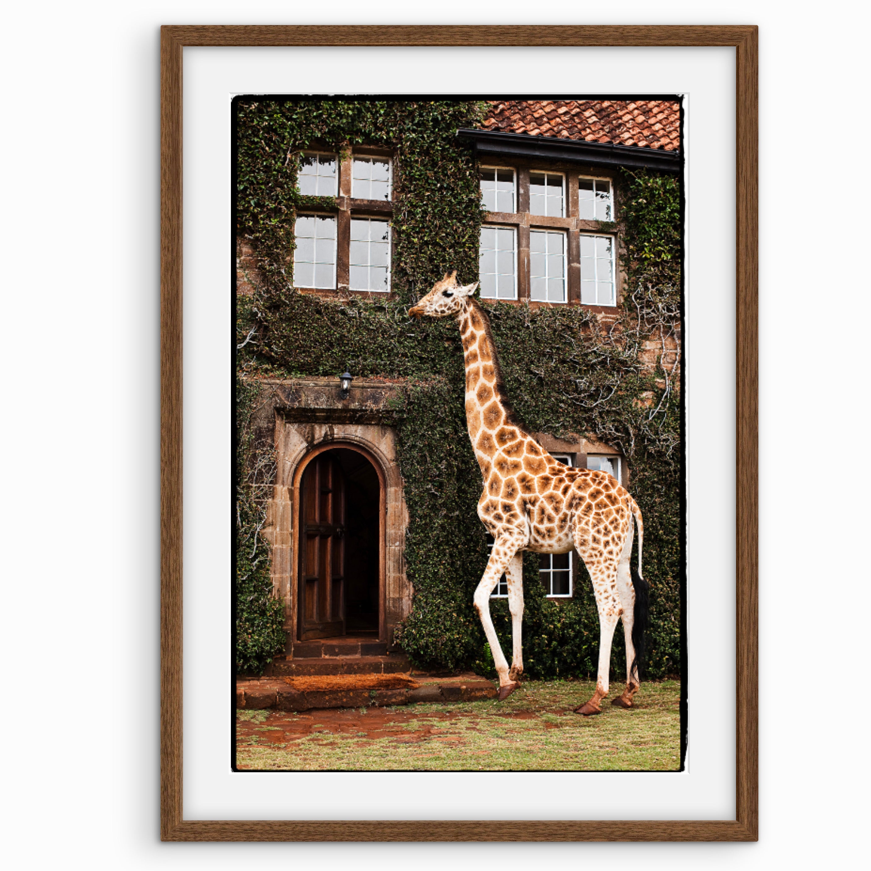 Giraffe Manor