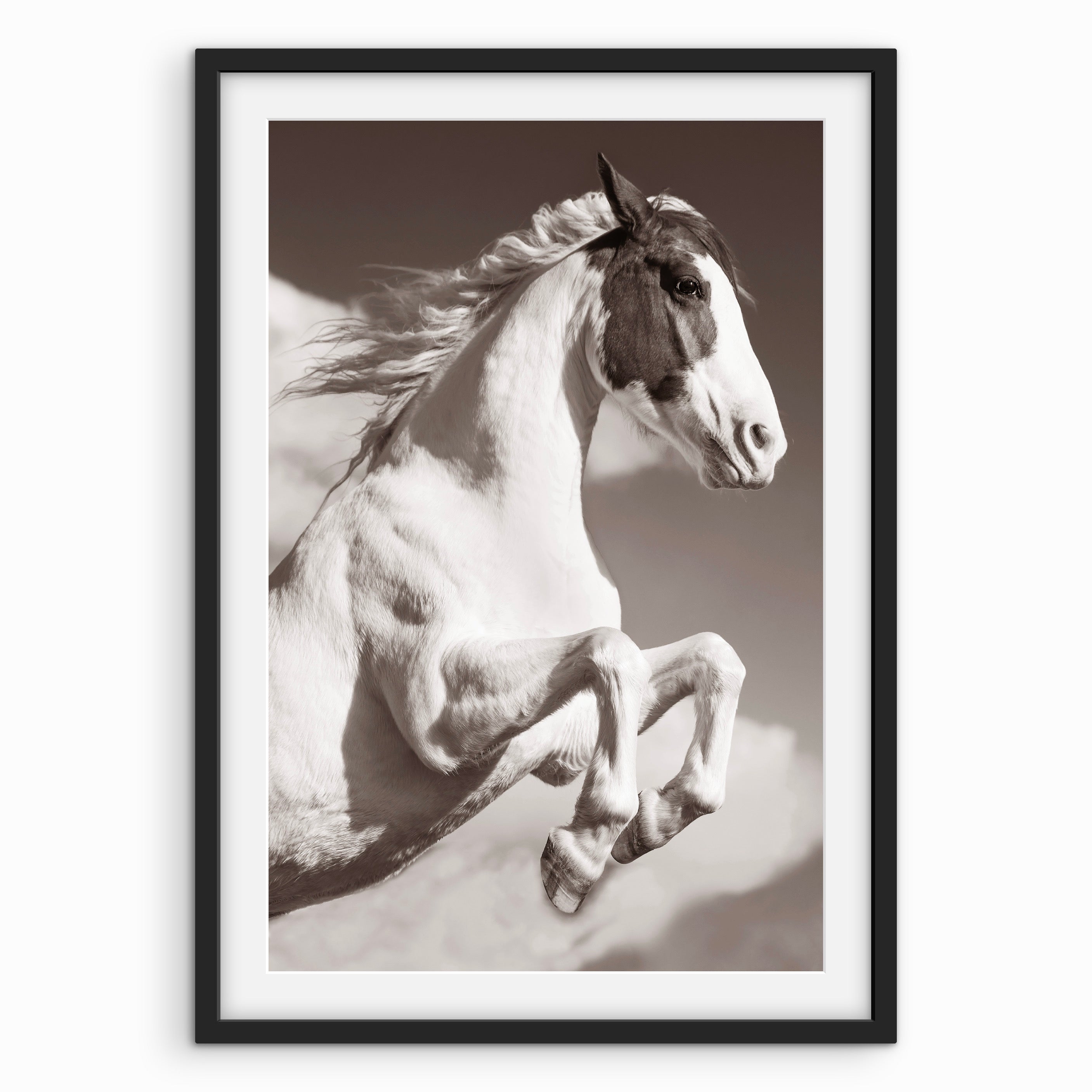 Horse Rearing