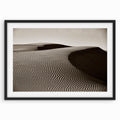 Sand Dune Lines