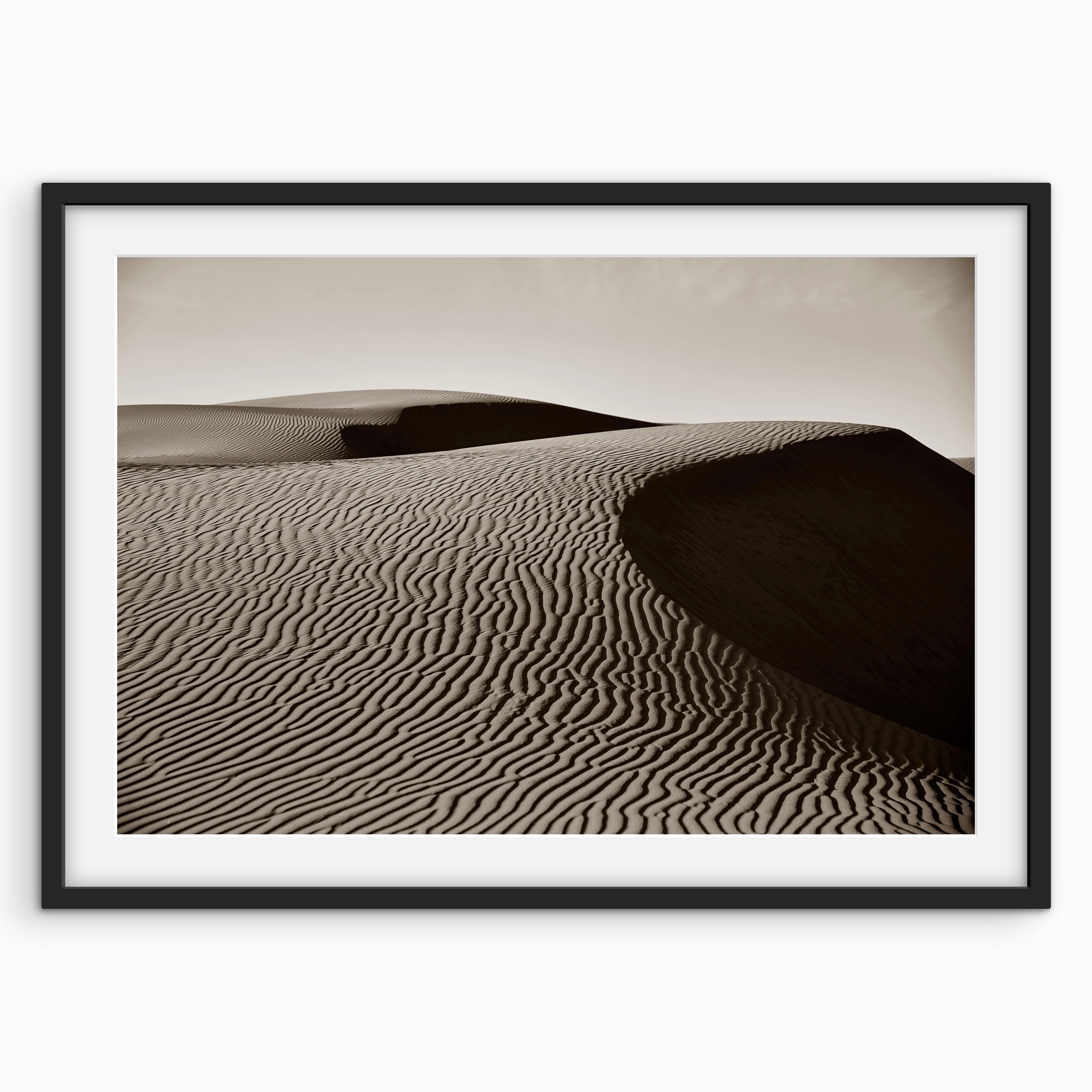 Sand Dune Lines