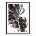 Windy Trees