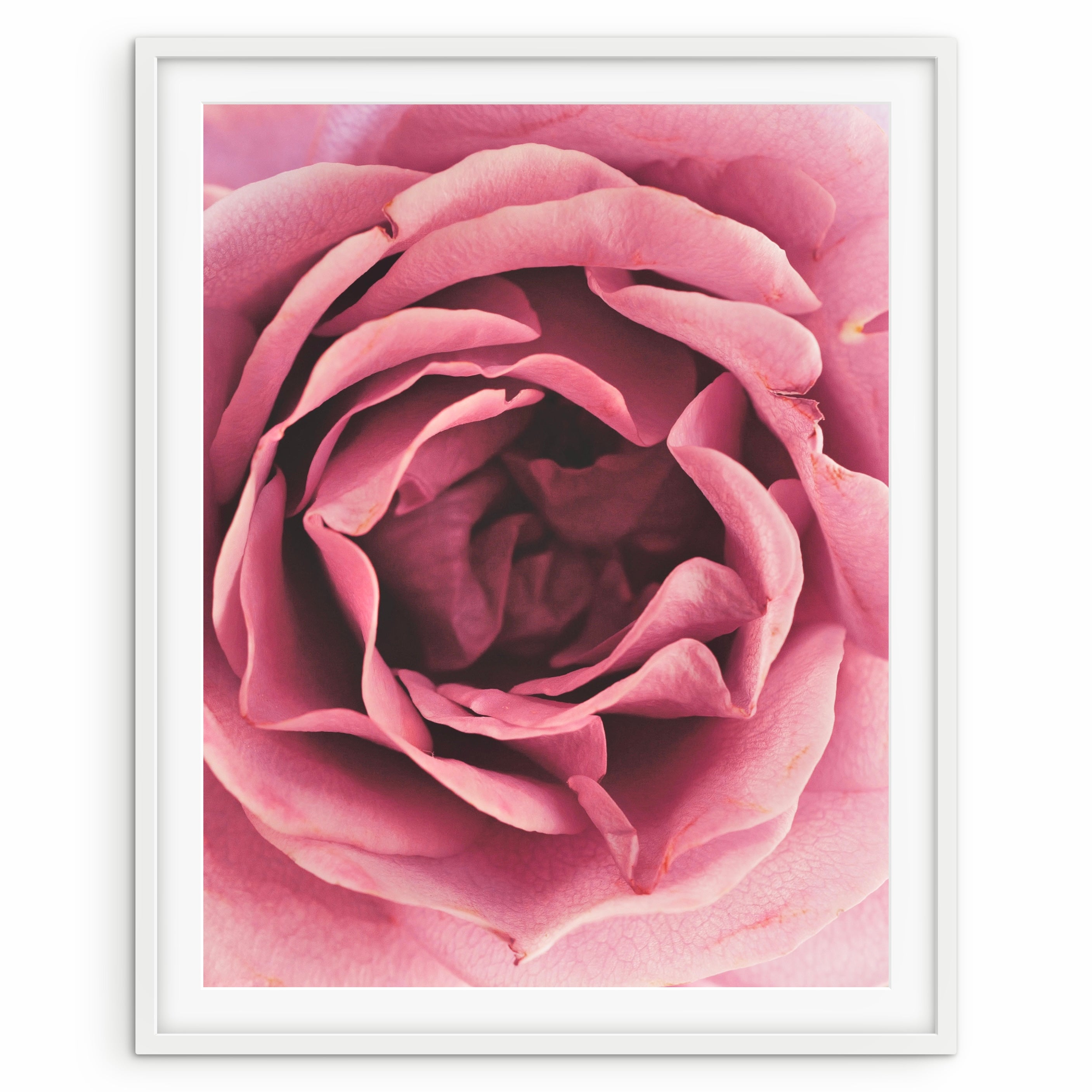 Petals