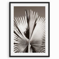 Fan Leaves
