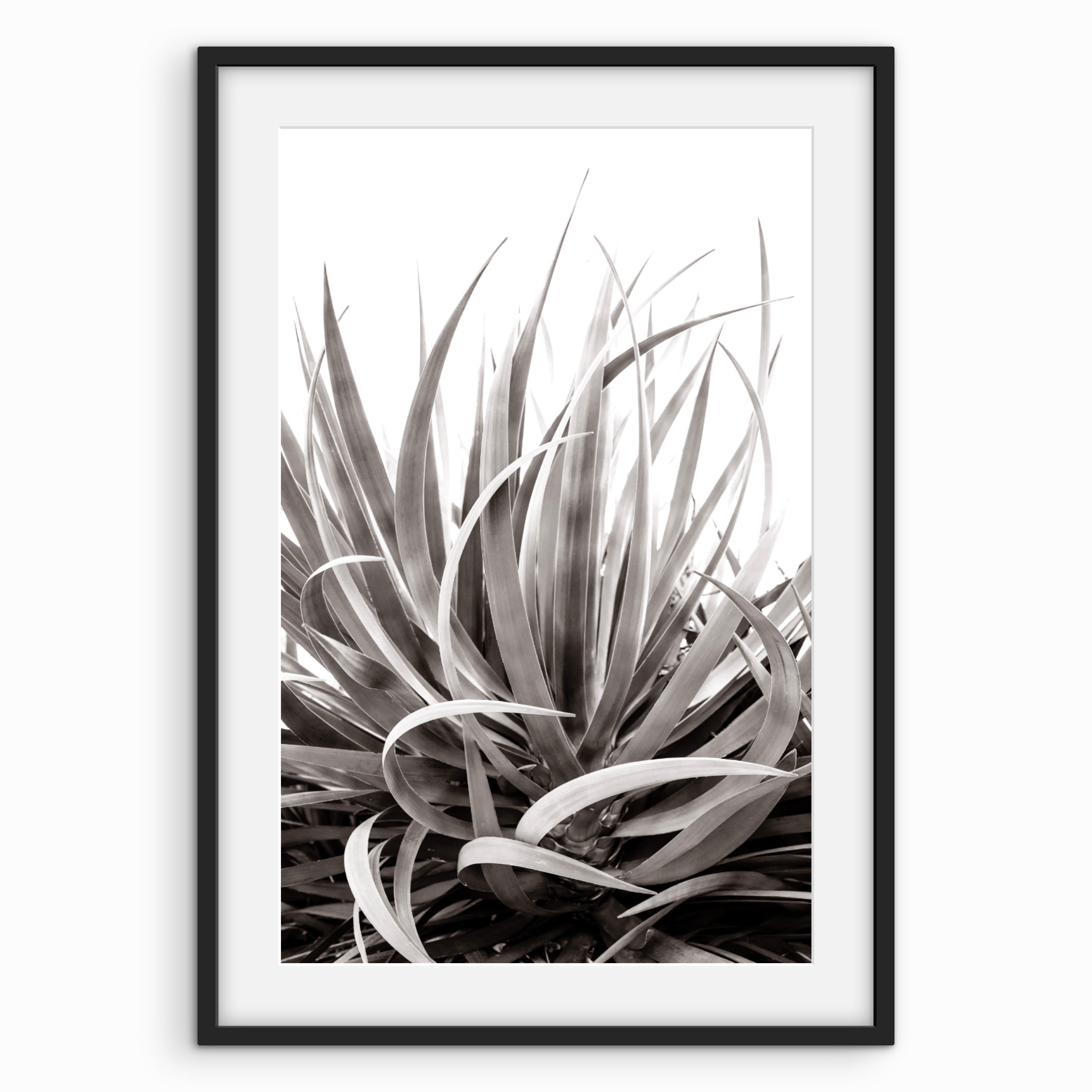 Curling Leaves