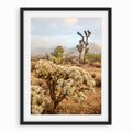 Desert