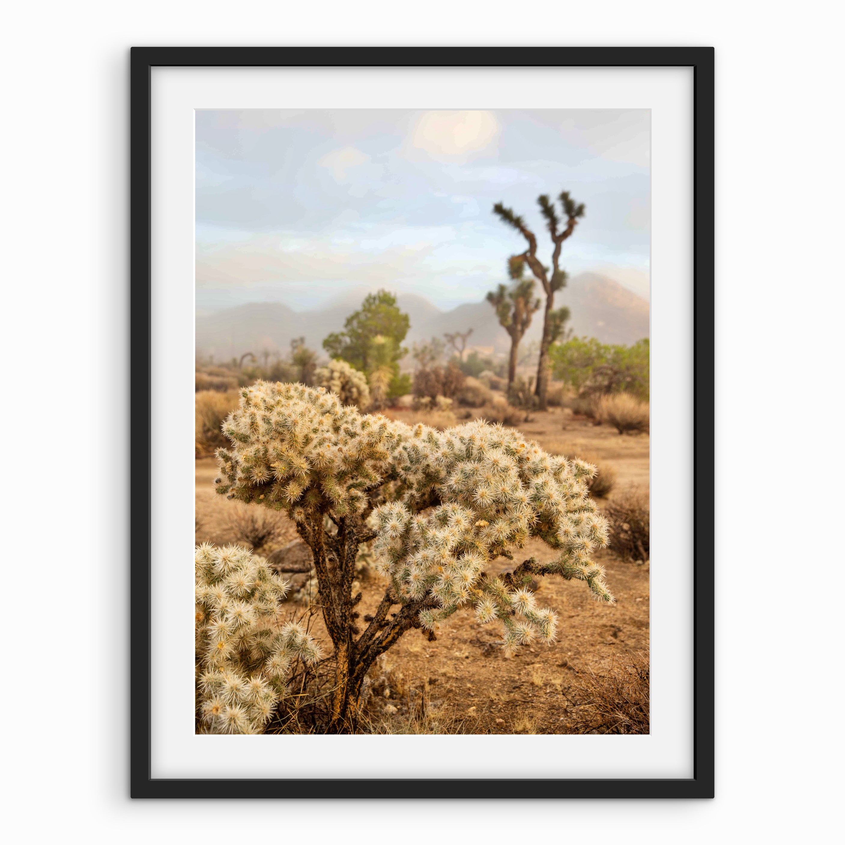 Desert