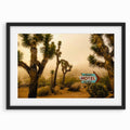 Desert Motel