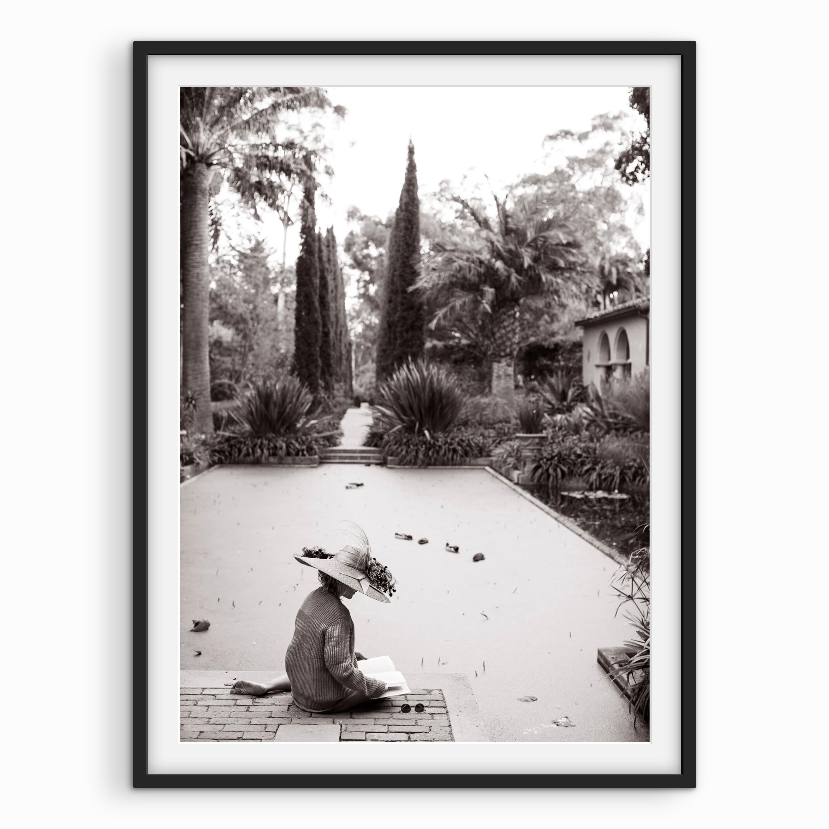 Lotus Pond