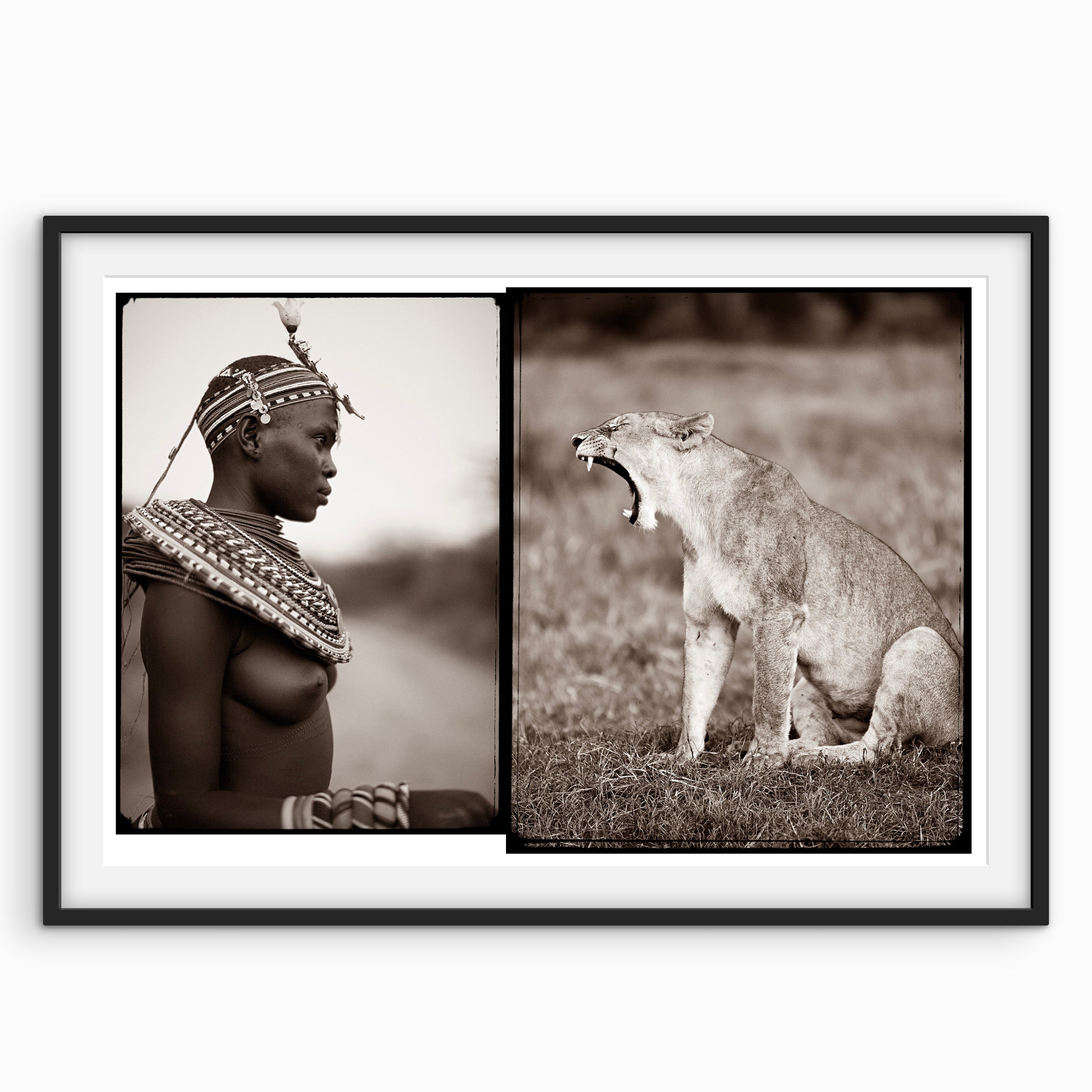 Masai Warrior & Lion