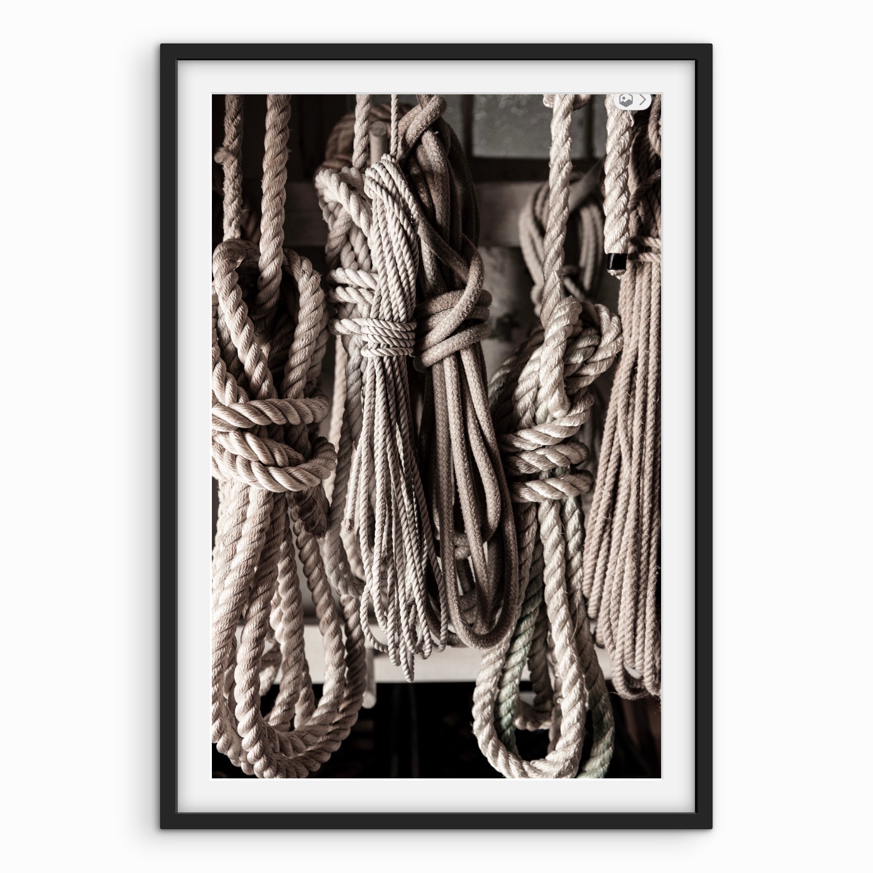 Sailing Lines Coiled