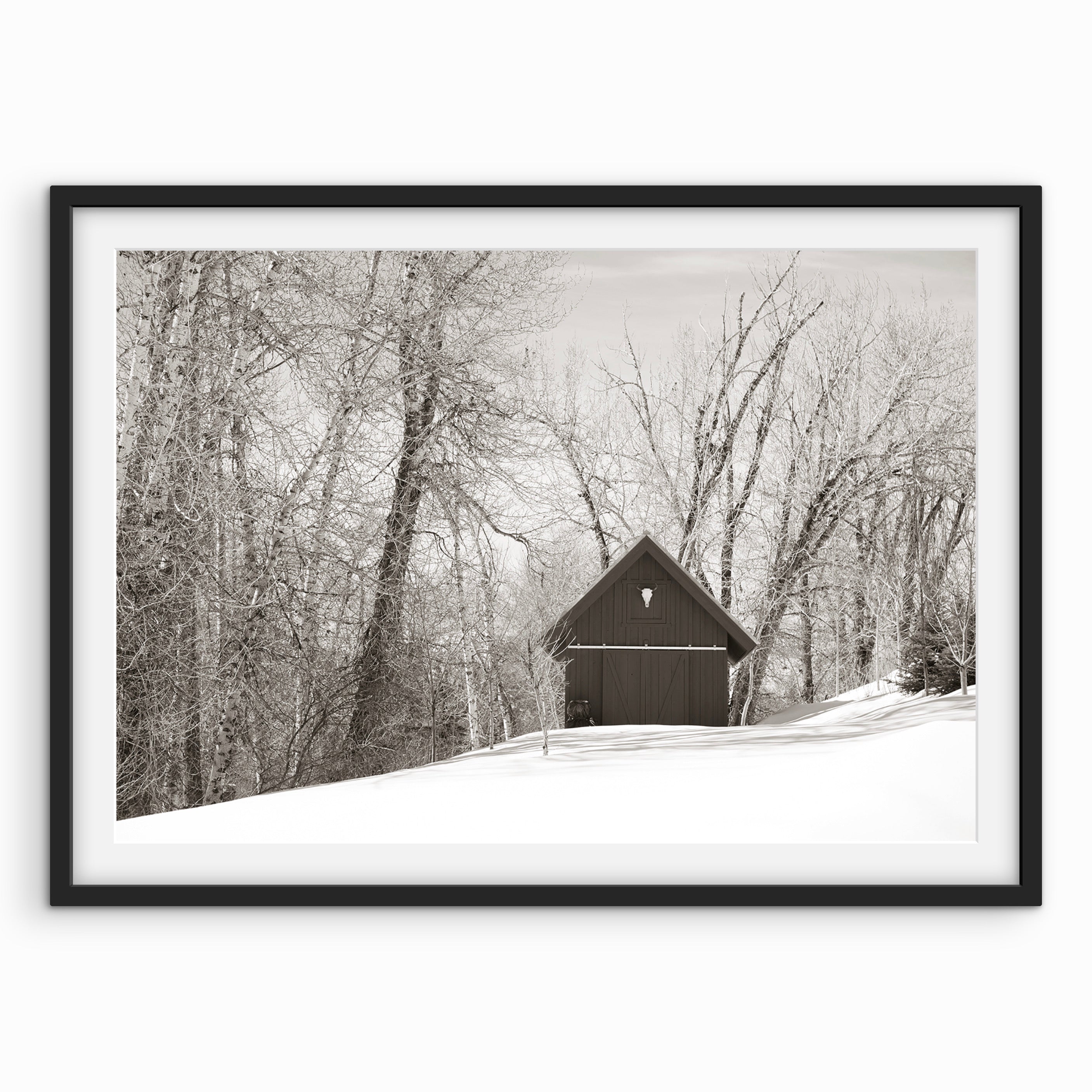 Snowed in House, Sun Valley